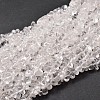 Natural Quartz Crystal Chip Beads Strands G-E271-103-1
