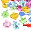 Transparent Acrylic Pendants TACR-N014-001-1