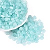 FGB Grade A Drawbench Style Glass Seed Beads SEED-Q040-02A-06-2