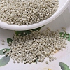MIYUKI Delica Beads X-SEED-J020-DB0261-1