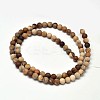 Frosted Natural Petrified Wood Round Bead Strands G-F266-07-6mm-2
