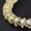 Transparent Glass Beads Strands LAMP-H061-01C-05-5