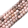 Natural Pink Zebra Jasper Beads Strands G-P231-01-6mm-2