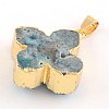 Dyed Natural Druzy Agate Pendants with Golden Plated Iron Findings G-R275-154-3