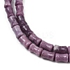 Natural Lepidolite/Purple Mica Stone Beads Strands G-F792-B01-4