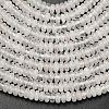 Natural Quartz Crystal Beads Strands G-L635-A08-4x2mm-5