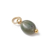 Natural Indian Agate Oval Charms PALLOY-JF04942-4