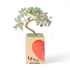Heart Money Tree Natural Natural Green Aventurine Bonsai Display Decorations DJEW-G027-16RG-04-2