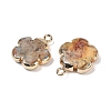 Natural Crazy Agate Pendants G-P566-01G-05-2