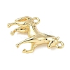 Brass Pendants ZIRC-I356-04G-02-2