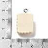 Cookies Theme Imitation Food Resin Pendants RESI-B021-02C-05-3