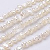 Natural Cultured Freshwater Pearl Beads Strands PEAR-P002-44-1