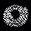 Transparent Glass Beads Strands GLAA-N001-61B-2