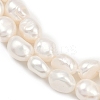Natural Cultured Freshwater Pearl Beads Strands PEAR-P064-20I-05A-4