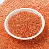 MIYUKI Round Rocailles Beads SEED-X0055-RR0236-2
