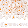  160Pcs 8 Styles Natural Freshwater Shell Beads Strands SHEL-TA0001-08-9