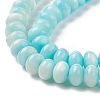 Gradient Color Dyed Natural Freshwater Shell Rondelle Bead Strands BSHE-XCP0001-08-4