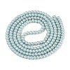 Baking Paint Glass Pearl Beads Strands DGLA-ZX001-05B-14-2