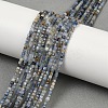 Natural Kyanite Beads Strands G-B088-E24-02-1