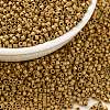 Cylinder Seed Beads SEED-H001-C05-1