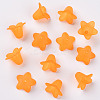 Transparent Acrylic Beads PLF018-08-2