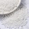 MIYUKI Round Rocailles Beads SEED-G008-RR0420-1