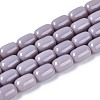 Opaque Glass Beads Strands GLAA-T028-14P-A04-1