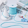 1Pc Luminous Polyester Heavy-duty Cords OCOR-SP0001-21D-4