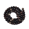 Natural Biotite Beads Strands G-Q616-01B-3