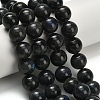 Natural Black Labradorite Beads Strands G-L642-B15-14mm-1