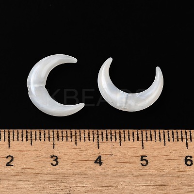 Acrylic Beads OACR-H042-06B-1