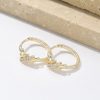 Brass Clear Cubic Zirconia Hoop Earrings EJEW-Q014-14G-1