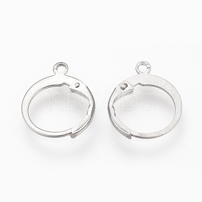 Tarnish Resistant 304 Stainless Steel Leverback Earring Findings STAS-S073-01-1