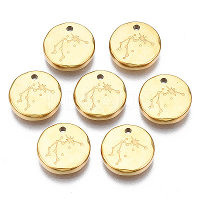 316 Surgical Stainless Steel Charms LS-STAS-S116-418F-G-1