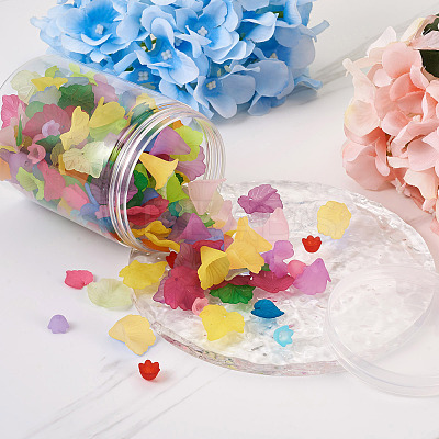 300Pcs 20 Style Transparent Acrylic Pendants & Bead Caps TACR-FW0001-02-1
