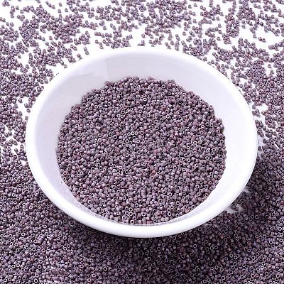 MIYUKI Delica Beads X-SEED-J020-DB1066-1