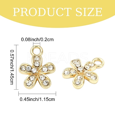 20Pcs Rack Plating Alloy Rhinestone Charms FIND-YW0010-20-1