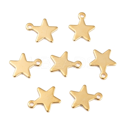 304 Stainless Steel Charms STAS-G190-27G-A-1
