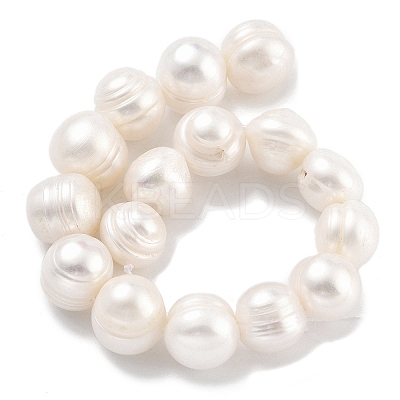 Natural Cultured Freshwater Pearl Beads Strands PEAR-C003-21B-1