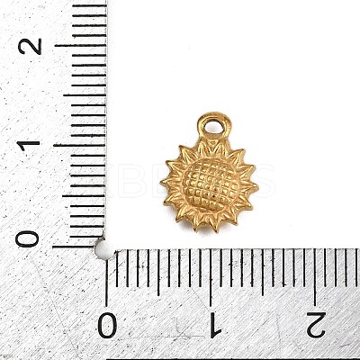 304 Stainless Steel Charms STAS-G363-12G-1