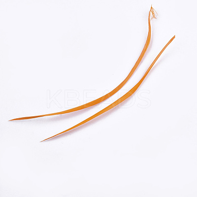 Goose Feather Costume Accessories FIND-T037-09H-1