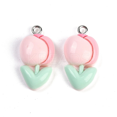 Resin Pendants RESI-I061-04A-1
