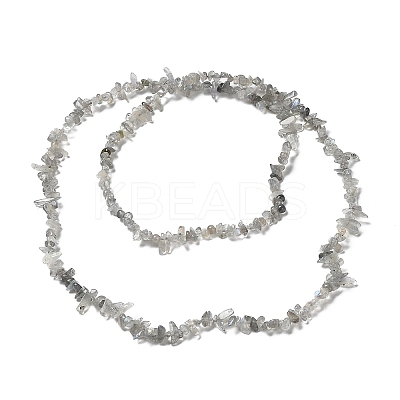 Natural Labradorite Beads Strands G-E607-A02-1
