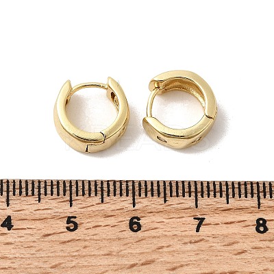 Brass Micro Pave Clear Cubic Zirconia Hoop Earrings EJEW-Z149-02G-1