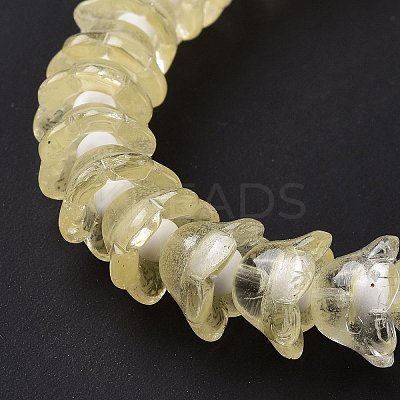 Transparent Glass Beads Strands LAMP-H061-01C-05-1