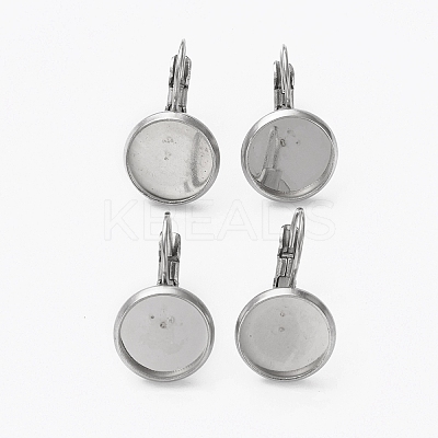 Tarnish Resistant 304 Stainless Steel Leverback Earring Findings LS-STAS-L253-005D-P-1