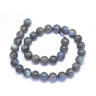 Natural Labradorite Beads Strands G-F602-04-10mm-1