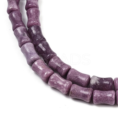 Natural Lepidolite/Purple Mica Stone Beads Strands G-F792-B01-1