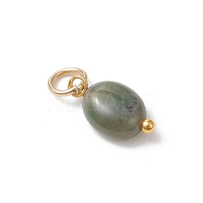 Natural Indian Agate Oval Charms PALLOY-JF04942-1