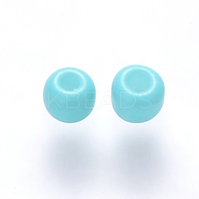 6/0 Baking Paint Glass Round Seed Beads SEED-S036-01C-13-1
